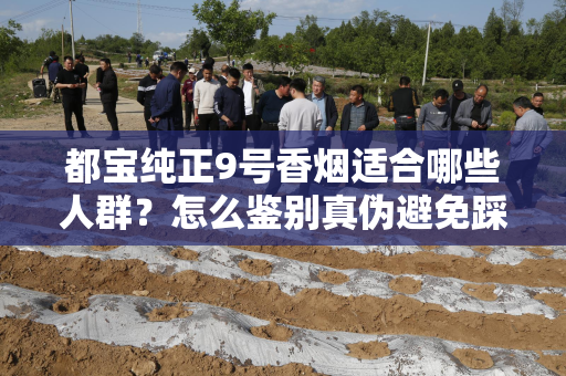都宝纯正9号香烟适合哪些人群？怎么鉴别真伪避免踩坑？